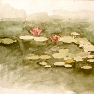 Lilypad pond