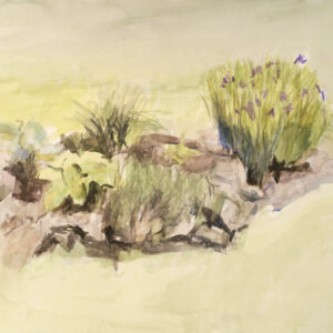 Watercolor of Iris and others in backyard